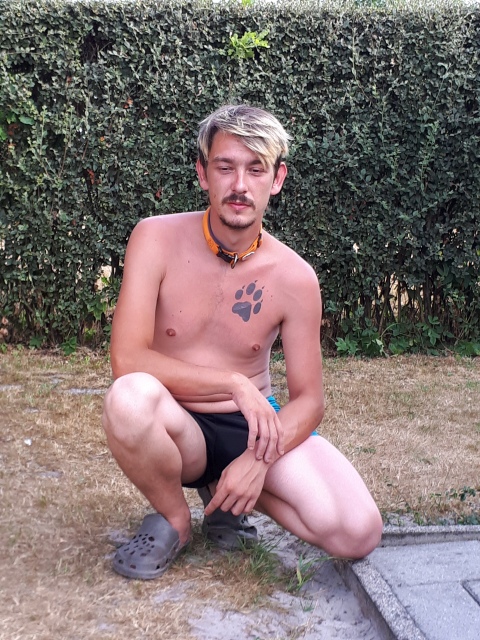 ../fotos/het_verlaat_2018/2018-07-30 17.58.41.jpg